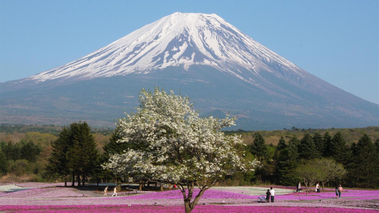 日本富士山 知乎