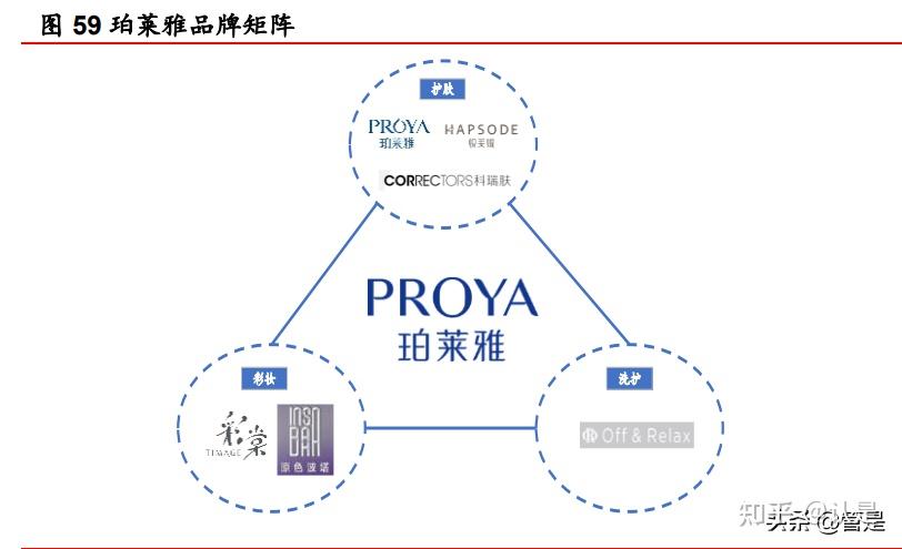 珀莱雅组织架构图片