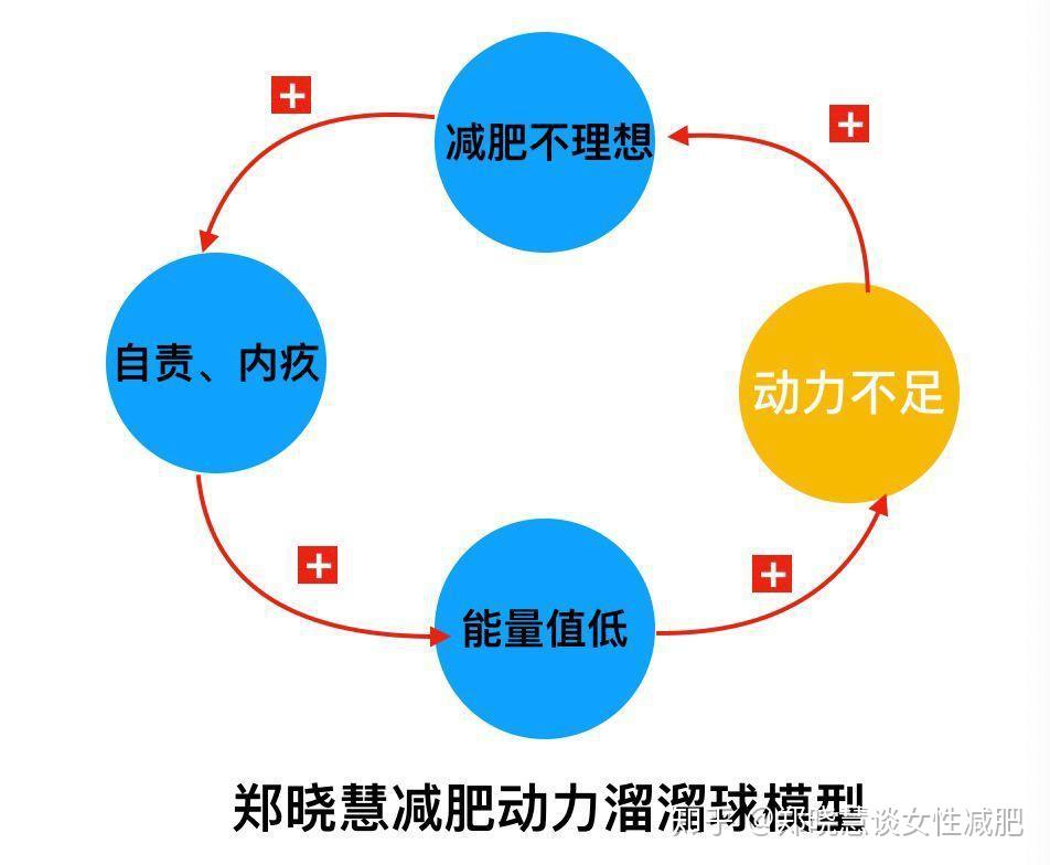 其实只要减肥动力不足,减肥就会陷入一个"溜溜球"式的恶性循环的怪圈.