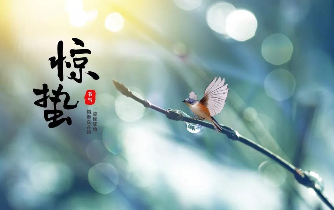 v2-f3a868ab12c5819a07c1ed730b1ca73b_1440w.jpg?source=172ae18b