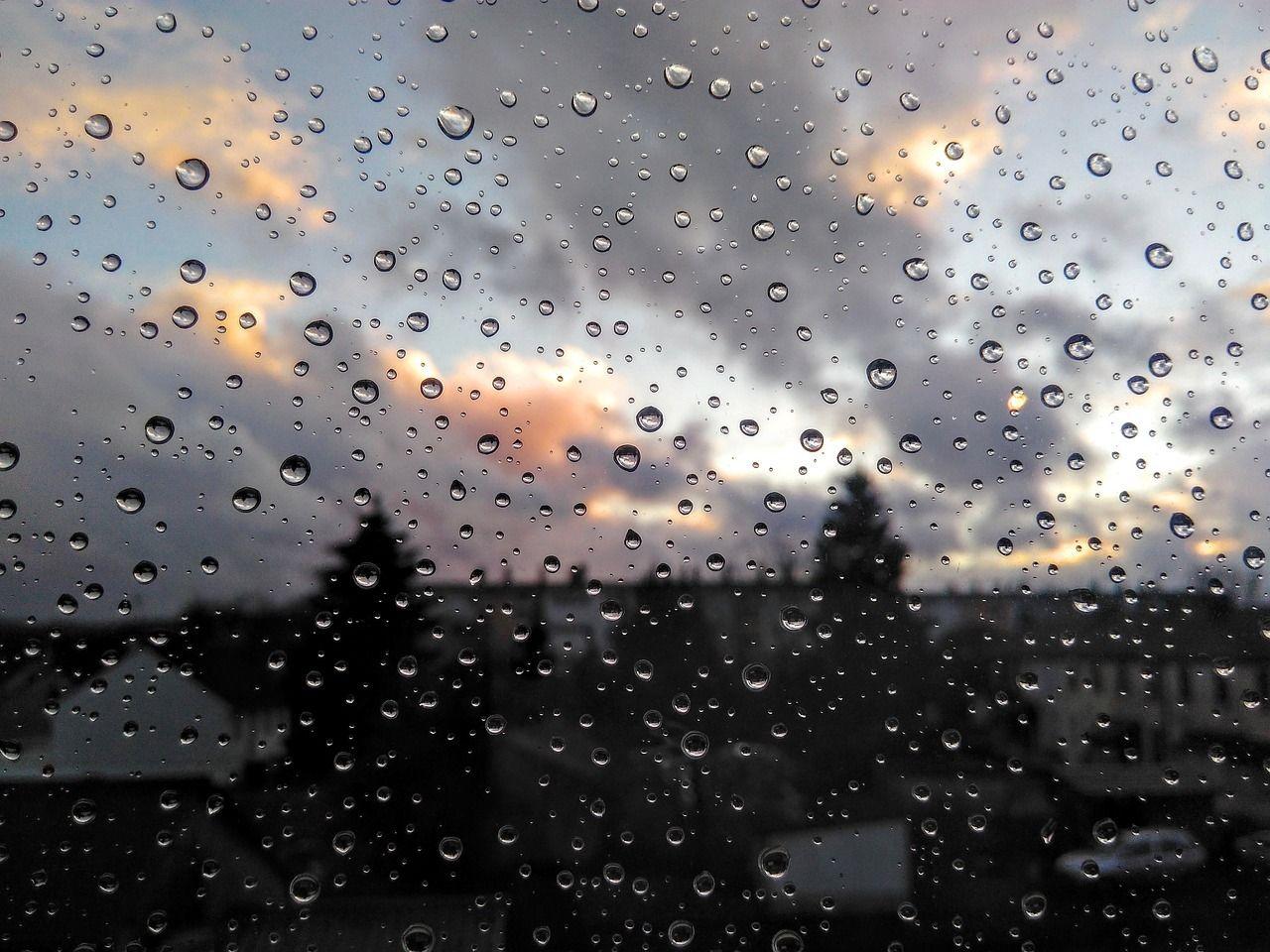 诗词里的秋雨是什么体验? - 知乎