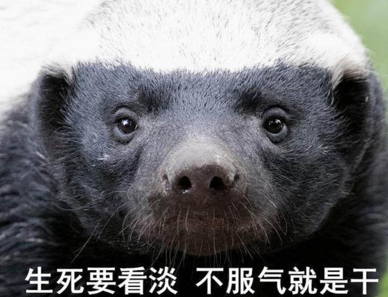 v2-f3cc48e6b3ce865d8dd00ac493798a2a_1440w.jpg?source=172ae18b