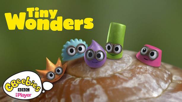BBC科普动画《Tiny Wonders》小奇迹，教娃学会观察、探索自然界小奇观，换个角度去观察世界，认知世界~