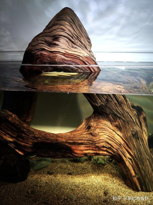 沉木的7个常见问题解答带你进一步认识沉木了解沉木辨识沉木