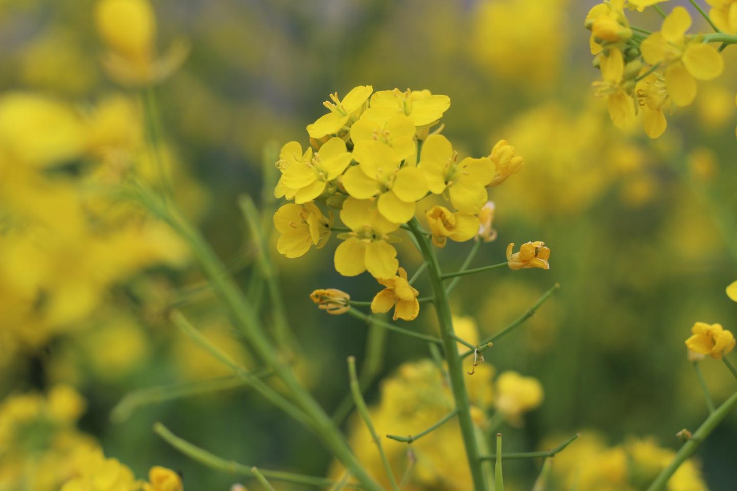 剪辑的匹配原则