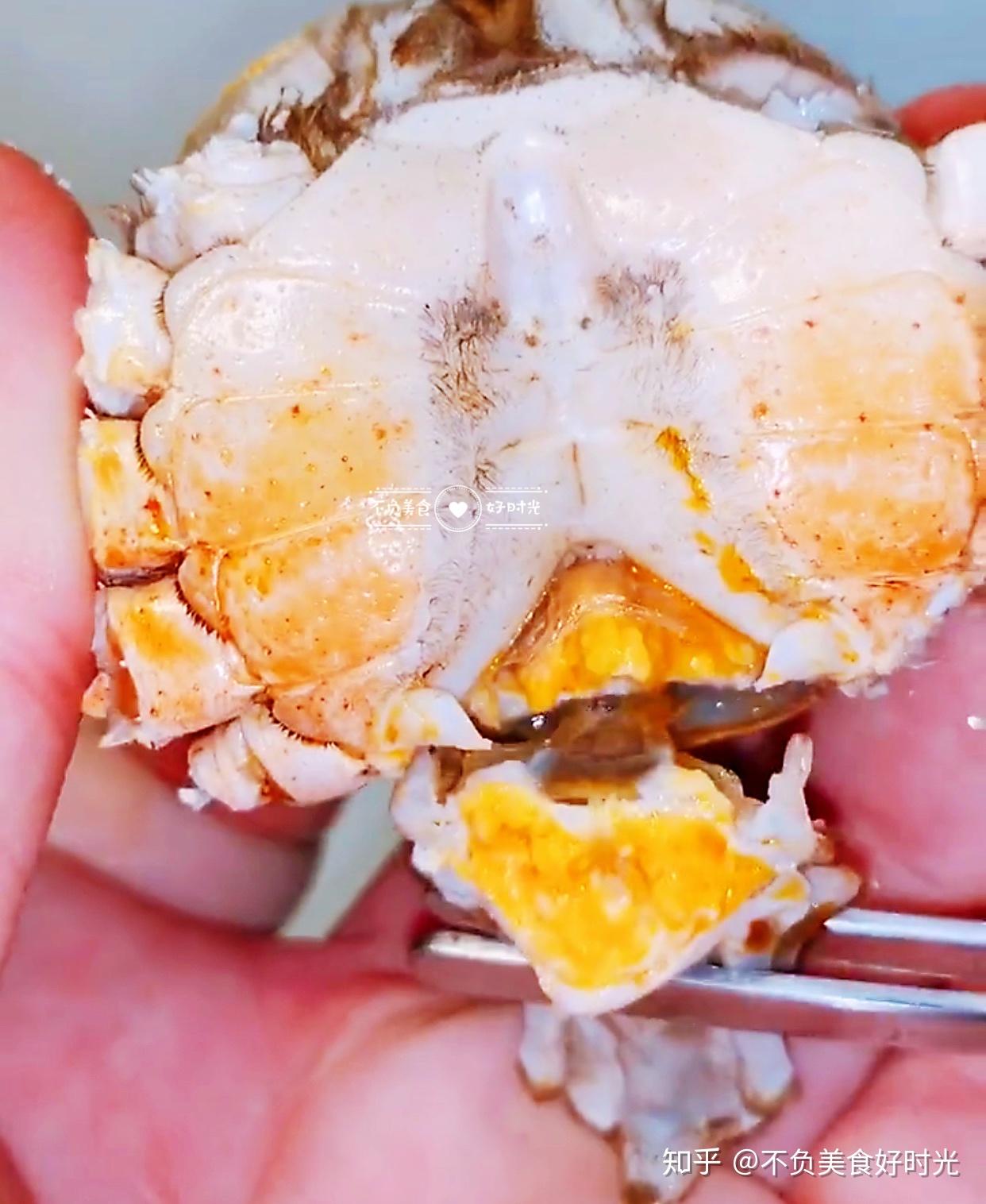 如何正确地吃一只大闸蟹？ - 知乎