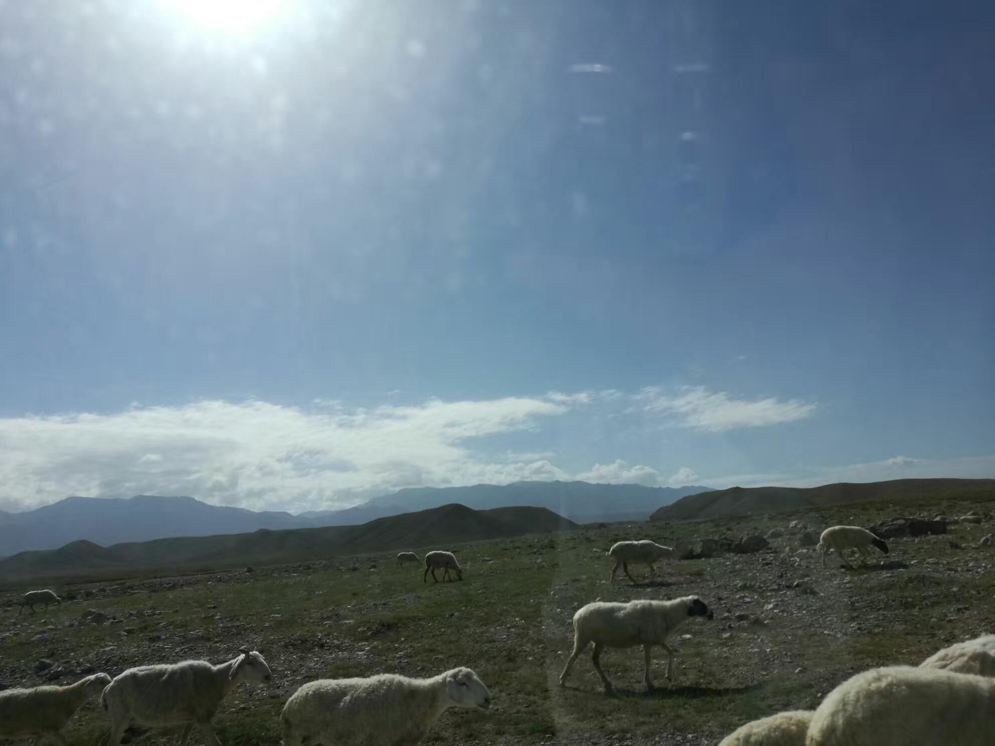 刘慈欣有哪些好看的短篇小说? - 知乎