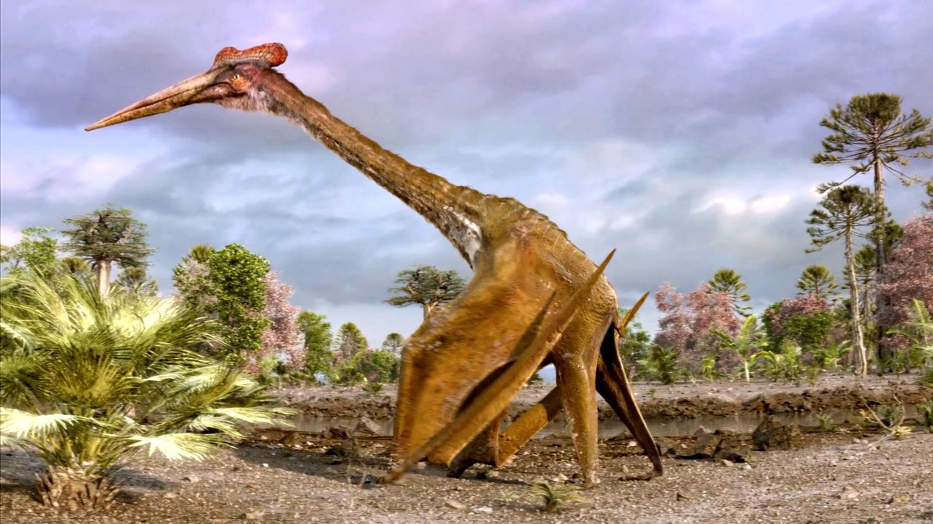 犹他盗龙在白垩纪时期是怎样的存在类鸟恐龙中的致命杀手