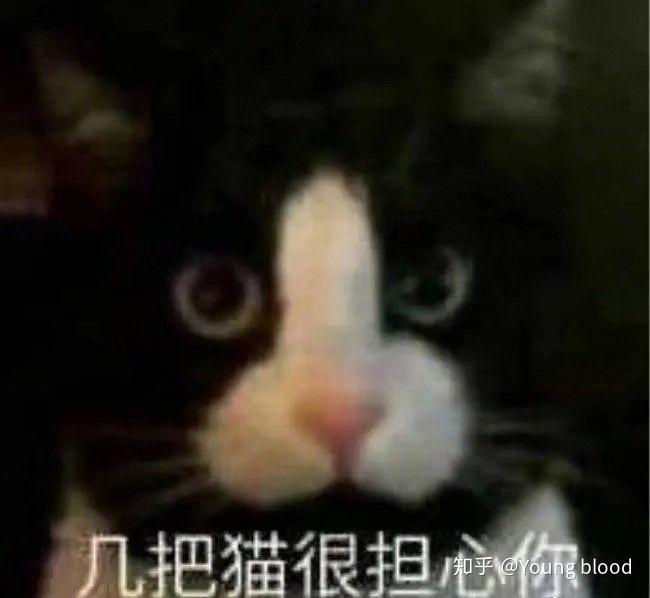 有没有几把猫的表情包