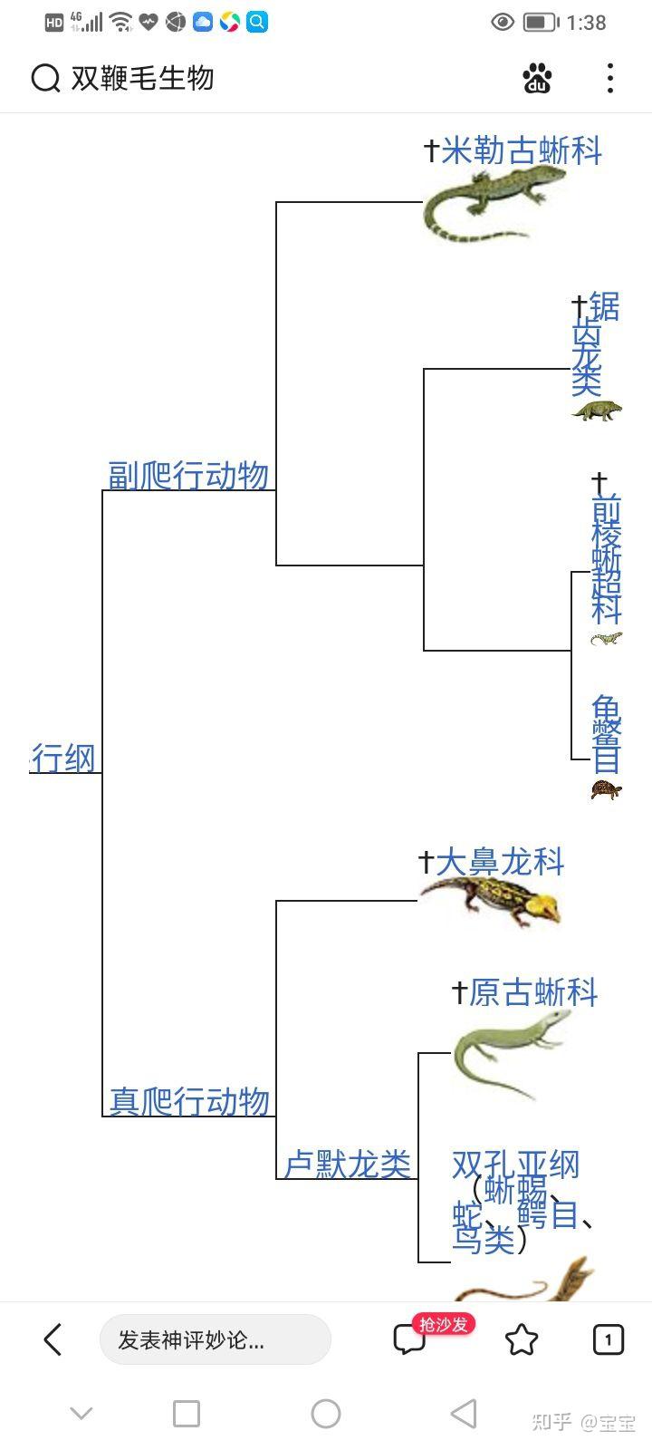 生物进化树整理 - 知乎