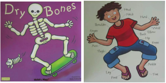 【吴敏兰绘本精读 】卡尔爷爷的from head to toe,绘本这样读太有意思