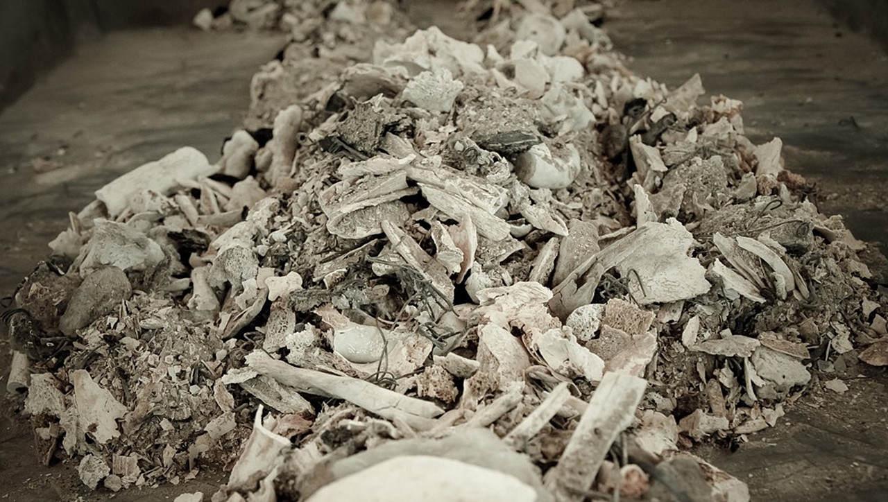 骨灰是什么?