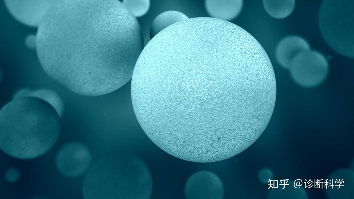 分子:DNA磁珠纯化技术的历史和发展 - 知乎