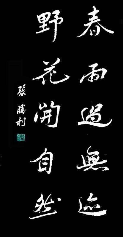 张胜利书法作品展示