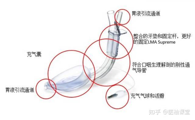 喉罩的使用方法图解图片