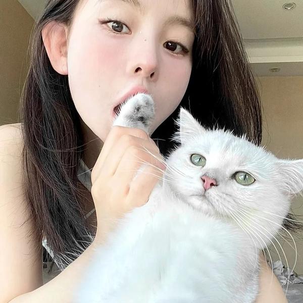 runoob是一个怎样的网站里面的教程好吗 知乎