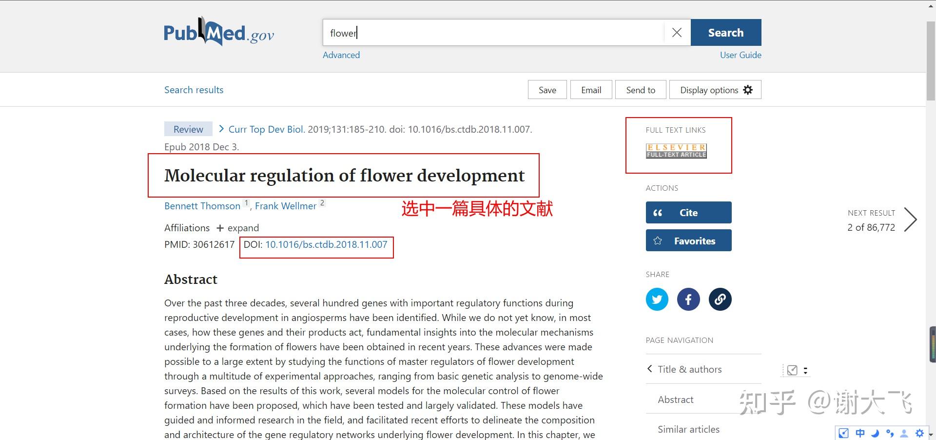 Full Text Links Full Text Provider Logo