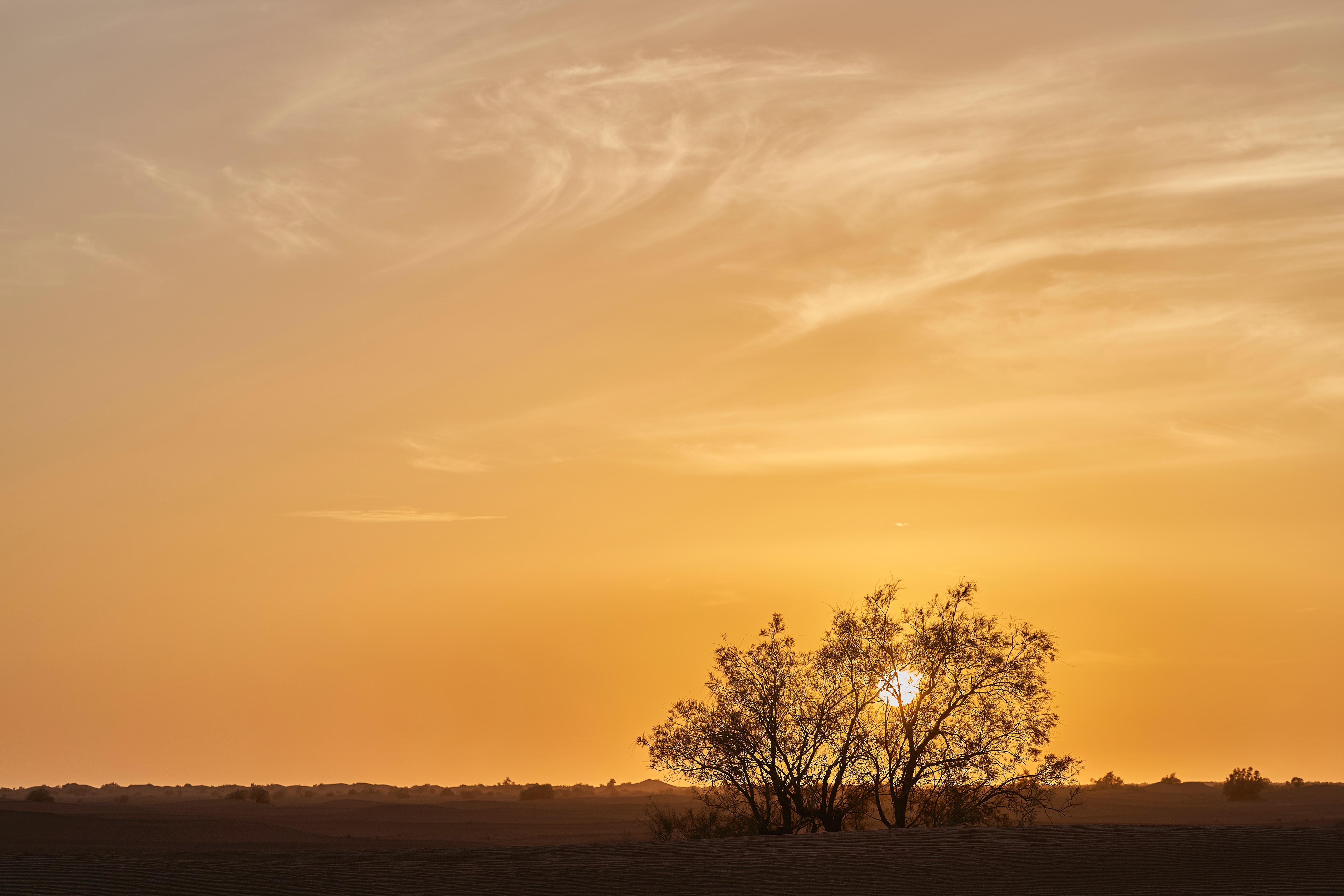 有哪些好看的高清北欧风电脑壁纸