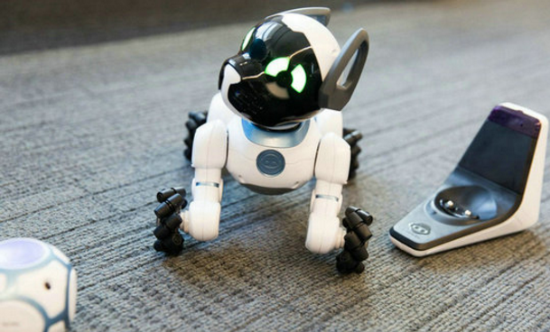 智能科技狗能取代宠物狗成为孩子的玩伴吗