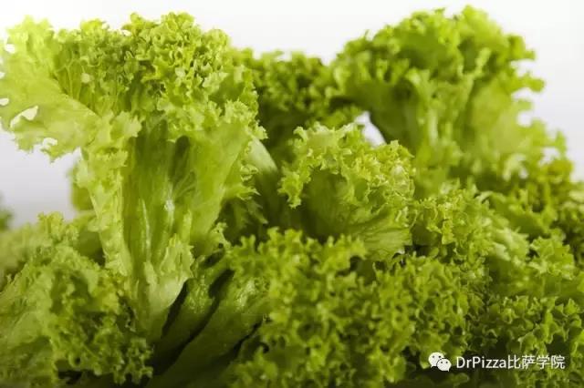 1,罗莎绿 lollo bionda皱叶生菜分类有很多,比较多见的是绿叶生菜叫做