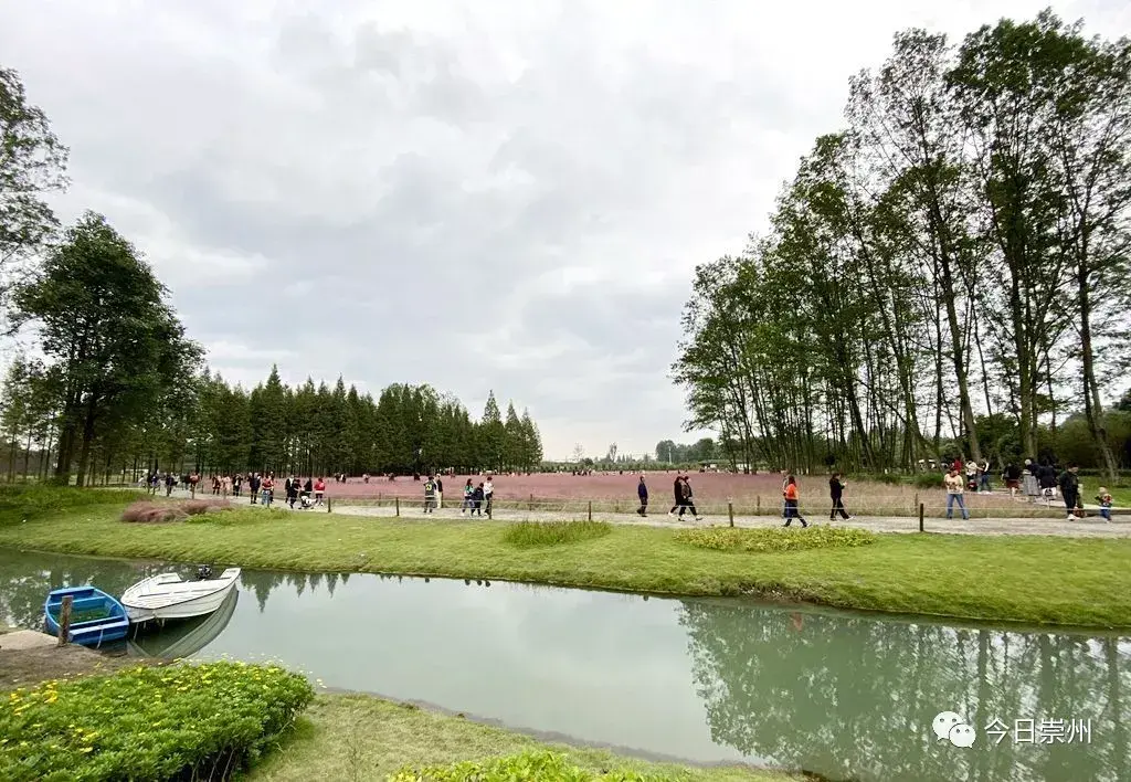 在崇州,有种度假方式叫"去严家弯湾耍"