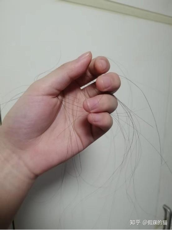 怎么样能长出浓密的头发 v2-f49da21ed12763fb5520bba042551cd5_r.jpg