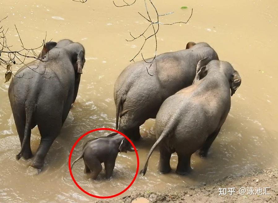 03."短鼻家族"一周年回访!