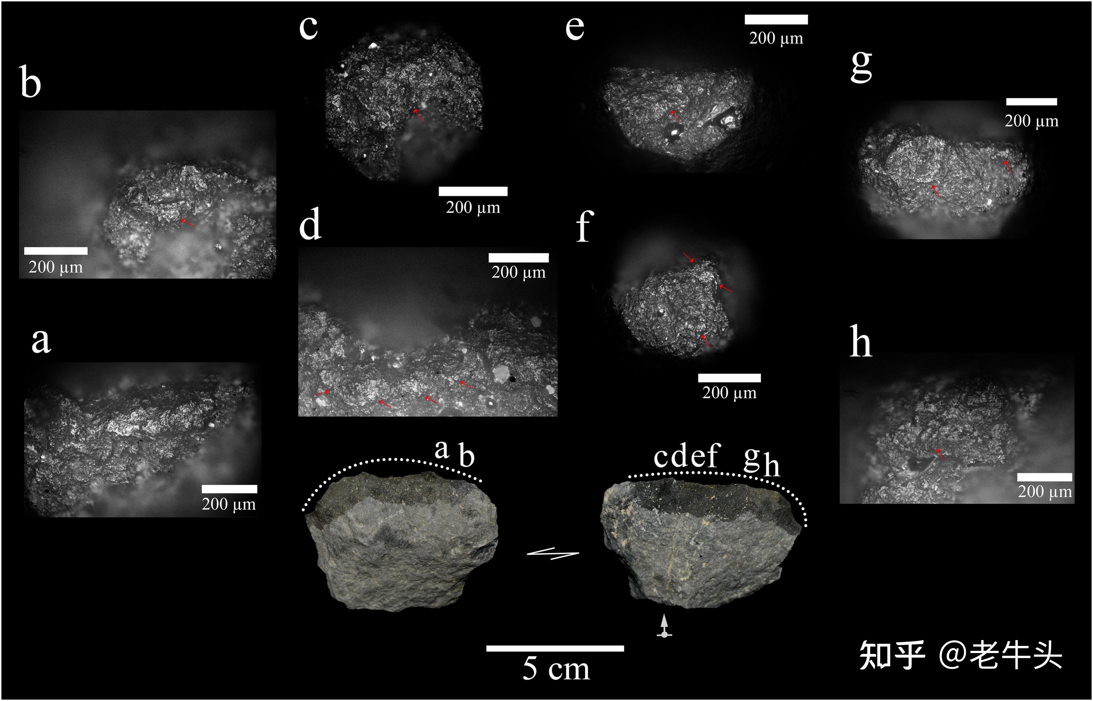 aitchison教授合作,系统报道了普兰地区姜叶玛剖面层状硅质岩中发现