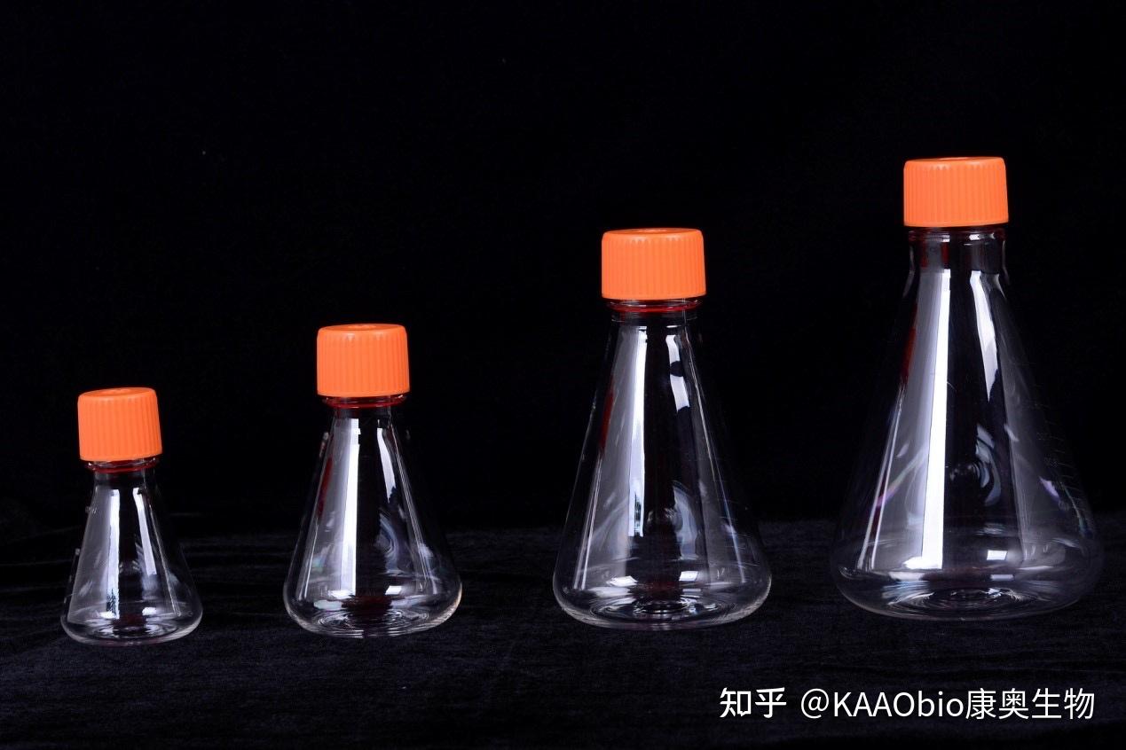 细胞锥形摇瓶
