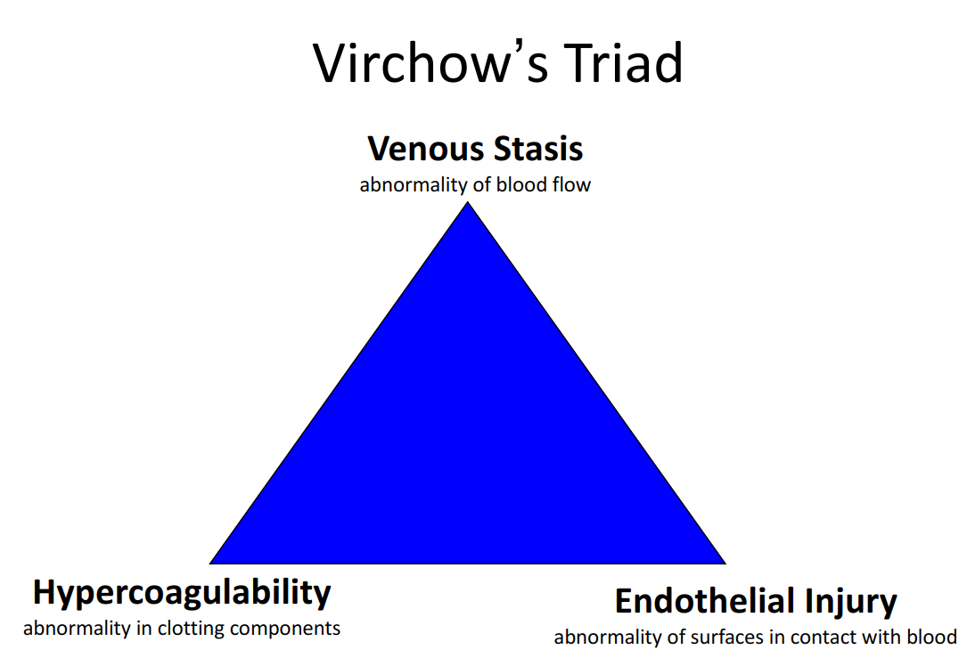 药剂师学习笔记之静脉血栓veinthrmobosis