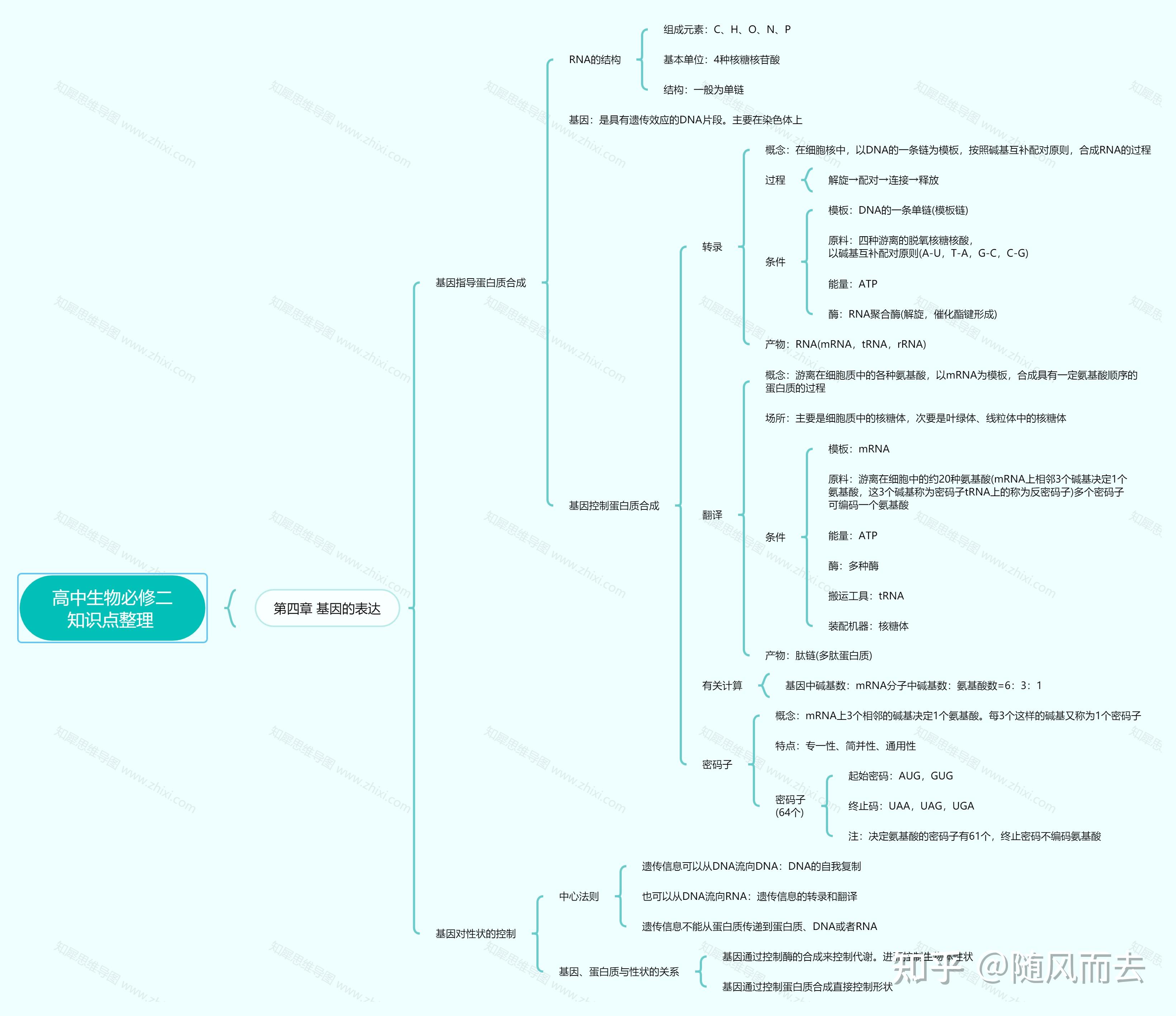 高中生物必修二第四章思维导图