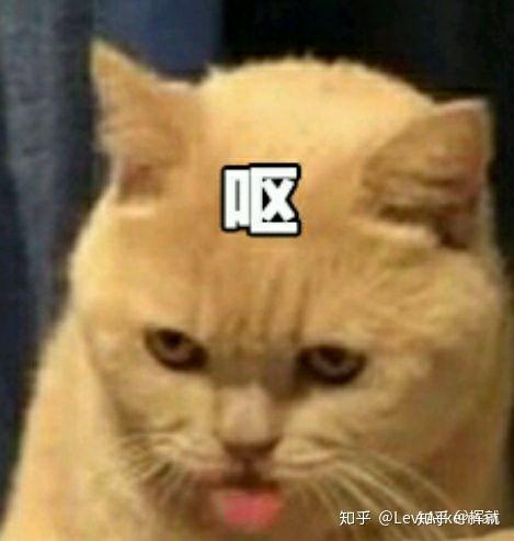 如何评价知乎从上下滑动查看回答切换为左右滑