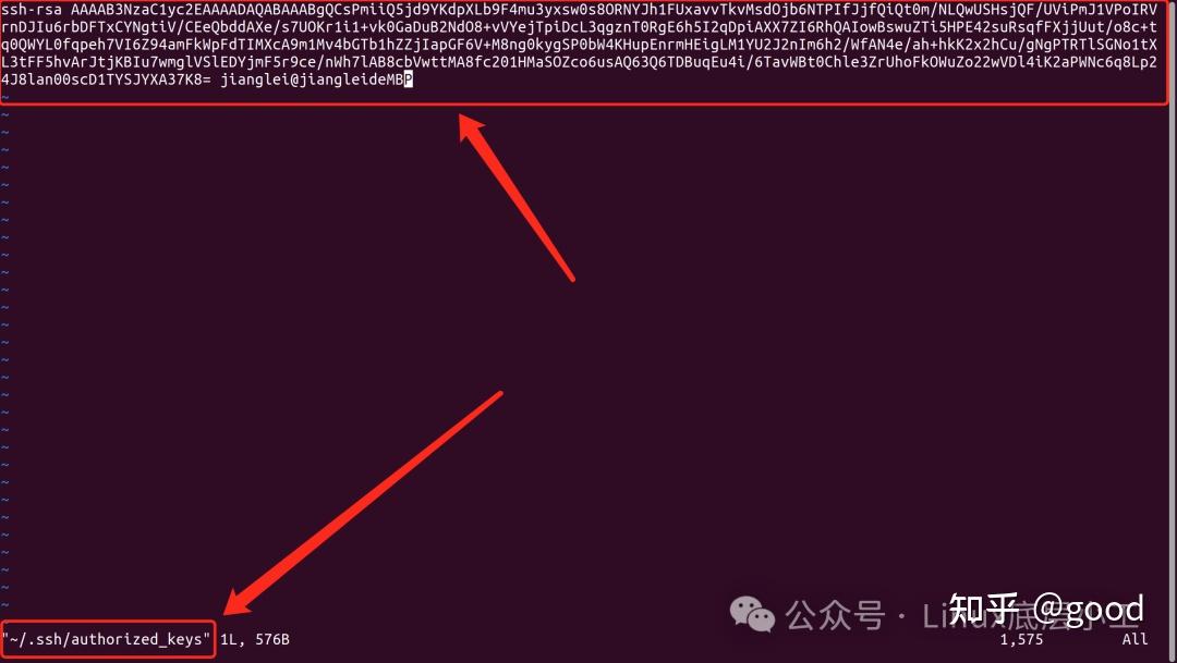 Risc v vscode 