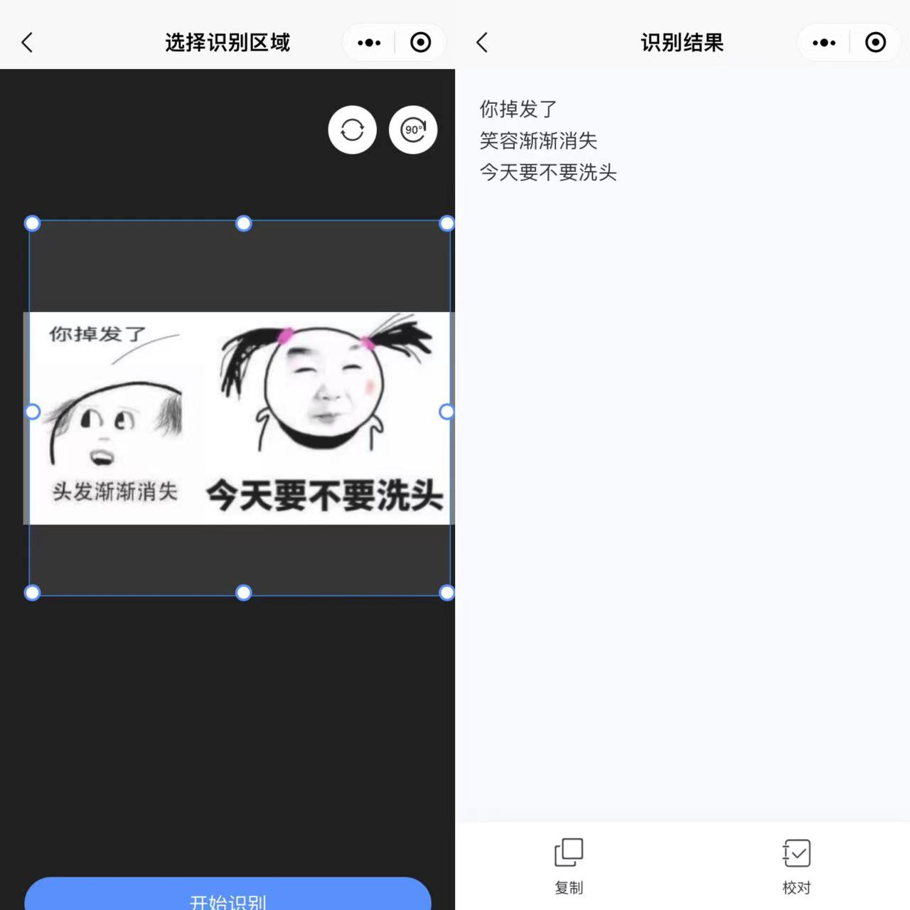 WPS word提取图片中文字的方法-WPS word怎么识别图片中的文字 - 极光下载站