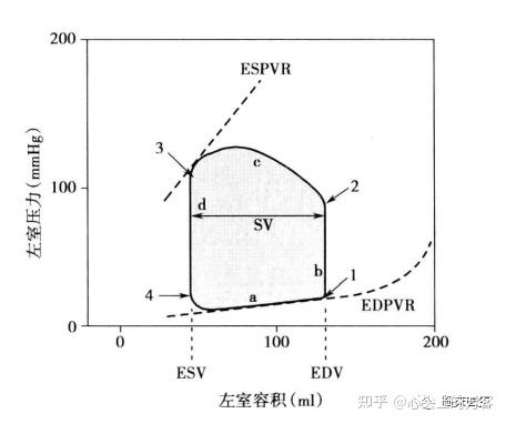 血流动力学基础图解 - 知乎