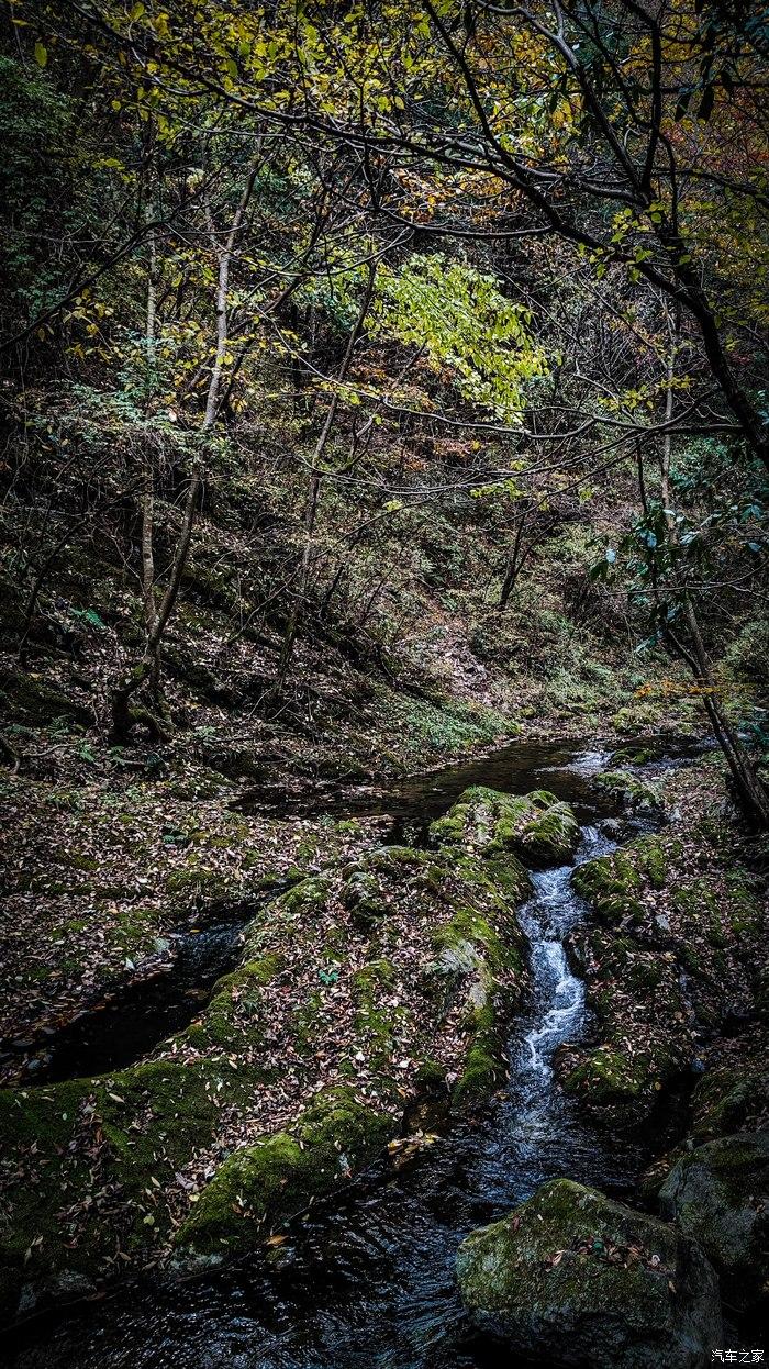 一人一唐,自驾洛南金丝峡,瞰五彩斑斓深秋神瀑峡沟