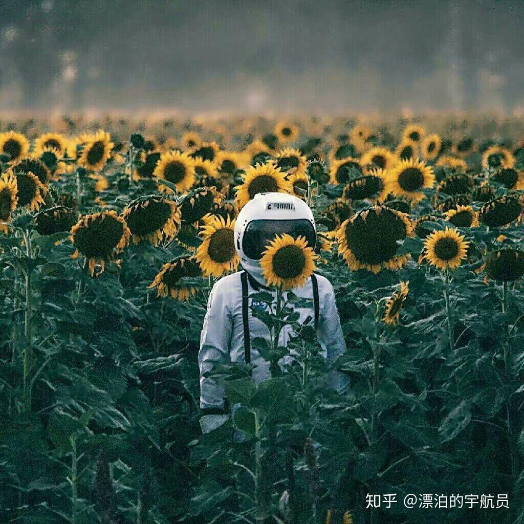 有哪些好看的小众头像? - 知乎