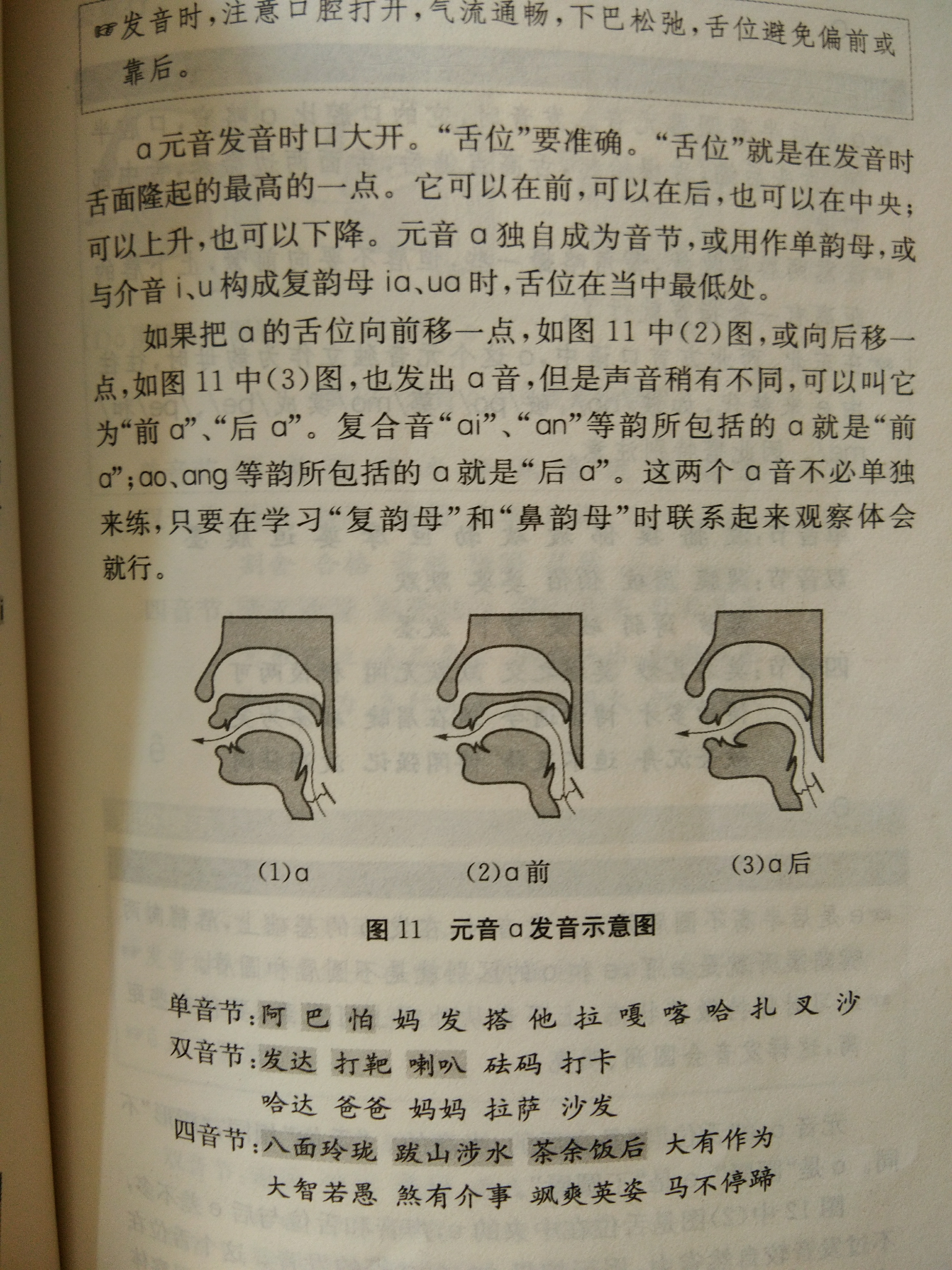 脍炙人口的正确发音_脍炙人口(3)