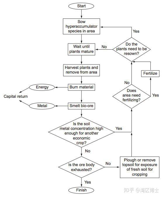 植物采矿(phytomining)指的是利用高累积植物(high b