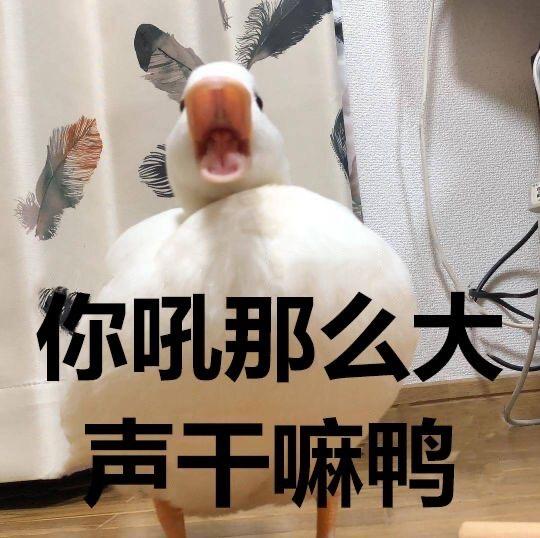 沙雕文案很热,沙雕文案段子