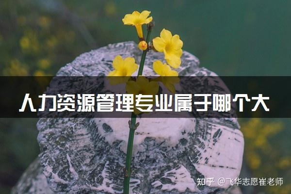 人力资源管理专业属于哪个大类?都学什么内容 - 知乎