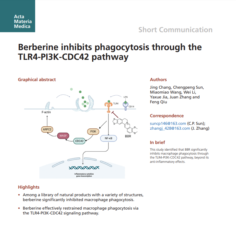 【AMM短篇通讯】小檗碱通过TLR4-PI3K-CDC42信号通路抑制吞噬作用 - 知乎