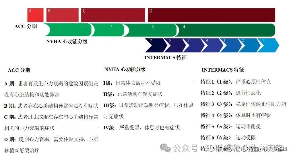 晚期心力衰竭的诊断和治疗 - 知乎