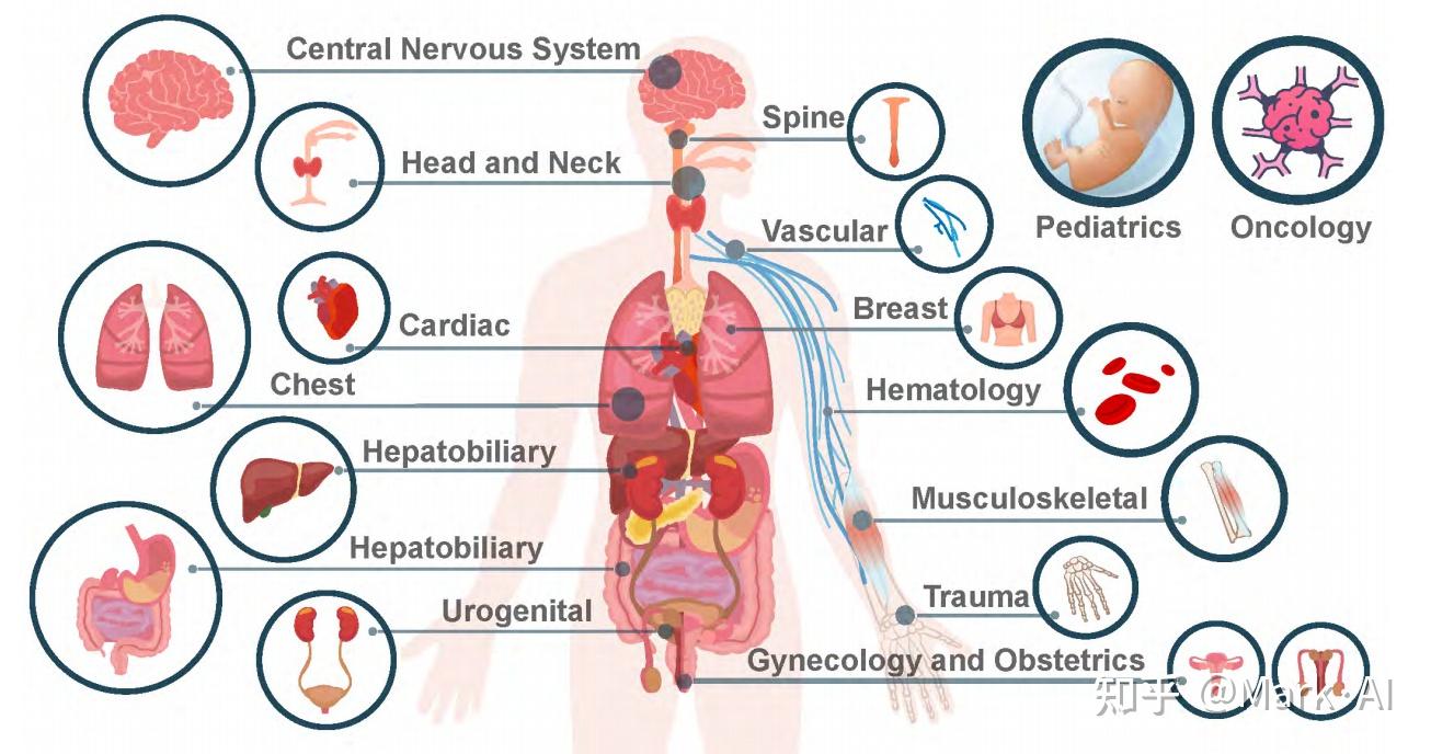 诊断所有病例| GPT-4V 在多模态医学诊断方面的能力进行系统评估- 知乎