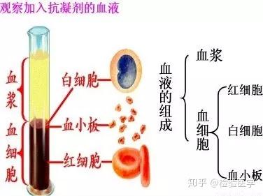 全血、血清、血浆样本基础解读 - 知乎