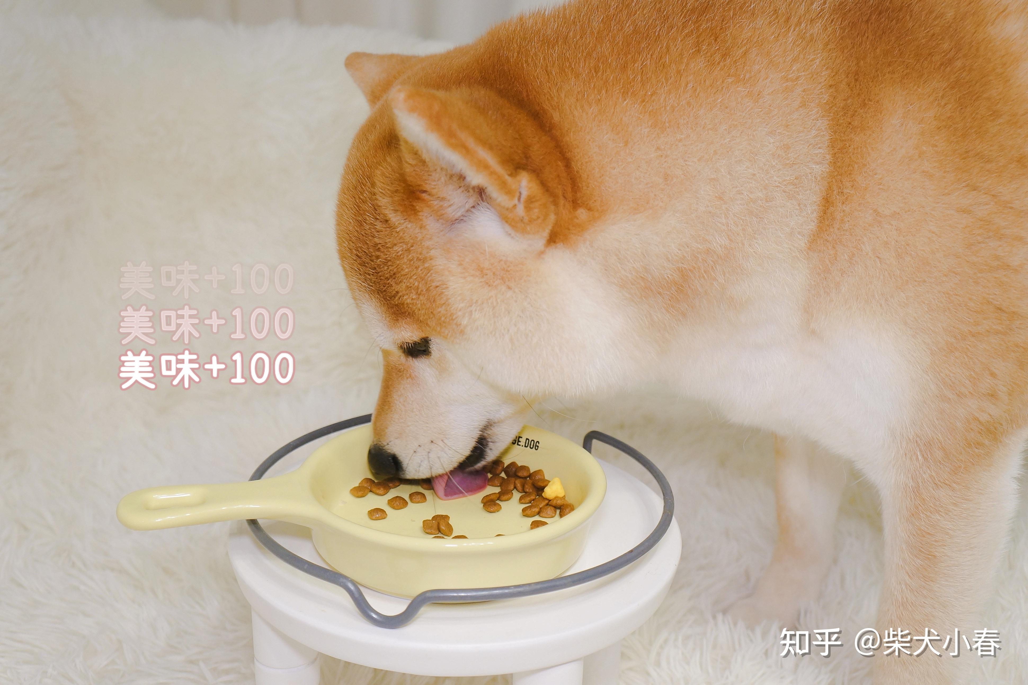 狗子同一种狗粮吃久了会不会容易腻