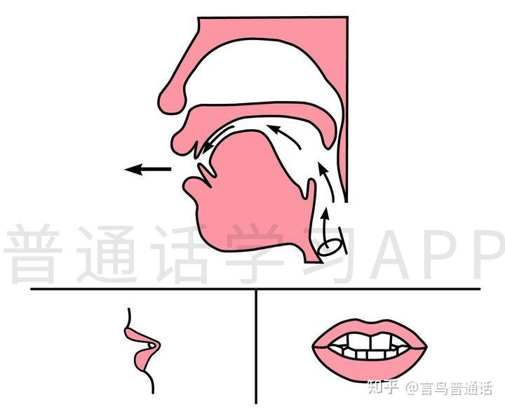 声母篇 | 克服港台腔,分辨jqx和zcs - 知乎