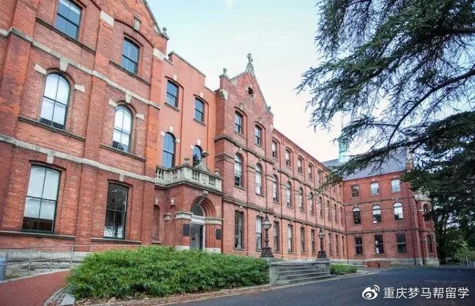 tcd大学 zhuanlan.zhihu.com