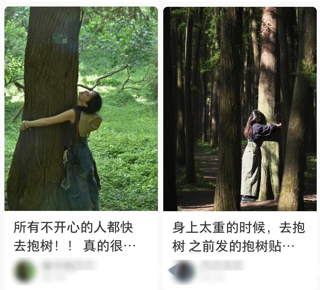 经济学人 ||“抱树”养生火了！是伪科学吗？研究结果来了 - 知乎