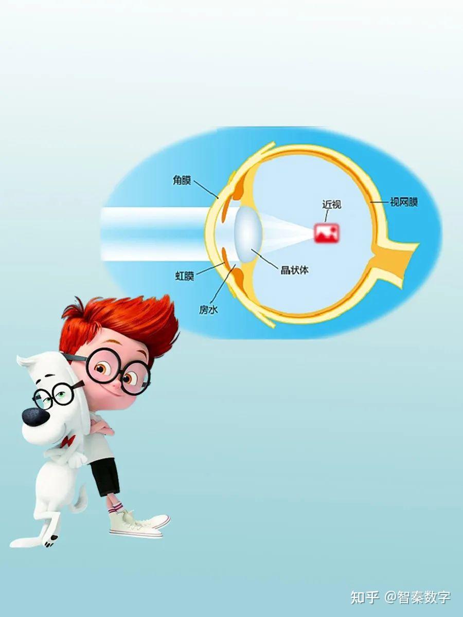 认知教育人体系列眼睛67